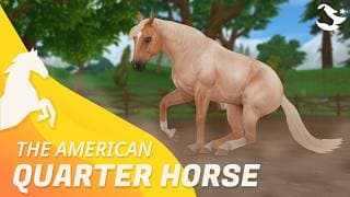 The American Quarter Horse 🤠 | Star Stable Horses